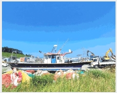  2025Ÿ��1094  ���ڰ��