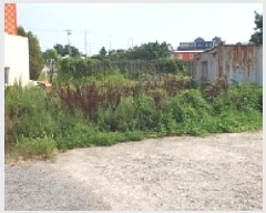  2025Ÿ��1104 �泲 ���걺 ���� ���ϸ� 487-12      ����(����)���