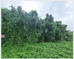  2025Ÿ��1112 �泲 ���ɽ� ��õ�� 1238-8       ����(��1)���