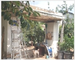  2025Ÿ��1121  �����