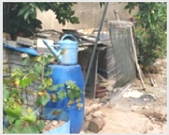  2025Ÿ��1121  �����