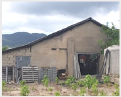  2025Ÿ��1121  �����