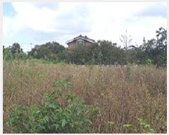  2025Ÿ��1121  �����