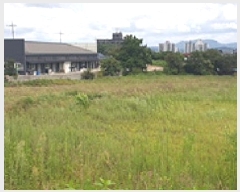  2025Ÿ��1121  �����