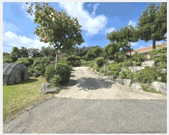  2025Ÿ��1126  ���ð��