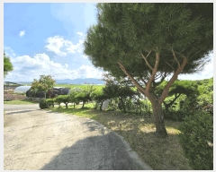  2025Ÿ��1126  ���ð��