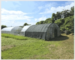  2025Ÿ��1126  ���ð��