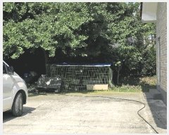  2025Ÿ��1126  ���ð��