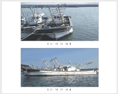  2025Ÿ��1128  ���ڰ��