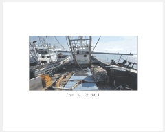  2025Ÿ��1128  ���ڰ��