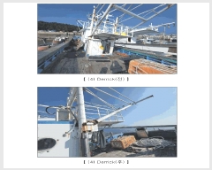  2025Ÿ��1128  ���ڰ��