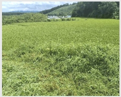  2025Ÿ��1143  ����