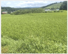  2025Ÿ��1143  ����