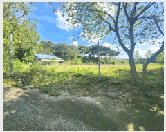  2025Ÿ��1164 �泲 ȫ���� ȫ���� �뱳�� 135-1      �ٸ��ü�,�󰡰��