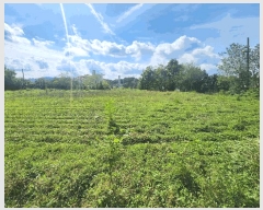  2025Ÿ��1164 �泲 ȫ���� ȫ���� �뱳�� 135-1      �ٸ��ü�,�󰡰��