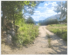  2025Ÿ��1164 �泲 ȫ���� ȫ���� �뱳�� 135-1      �ٸ��ü�,�󰡰��