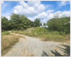  2025Ÿ��1164 �泲 ȫ���� ȫ���� �뱳�� 135-1      �ٸ��ü�,�󰡰��