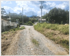  2025Ÿ��1164 �泲 ȫ���� ȫ���� �뱳�� 135-1      �ٸ��ü�,�󰡰��