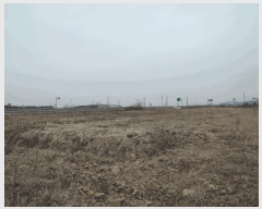  2025Ÿ��15561  ����