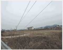  2025Ÿ��15561  ����