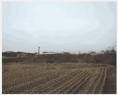  2025Ÿ��15561  ����