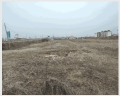  2025Ÿ��15561  ����