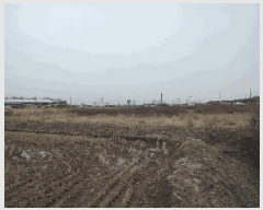  2025Ÿ��15561  ����