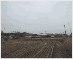  2025Ÿ��15561  ����