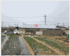  2025Ÿ15565 泲 ȫ õ õ 289-14      ()