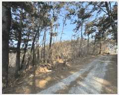  2025Ÿ��15572 �泲 ���ɽ� ��õ�� ��õ��� ��16-2      ����(�Ӿ�)���