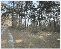  2025Ÿ��15572 �泲 ���ɽ� ��õ�� ��õ��� ��16-2      ����(�Ӿ�)���