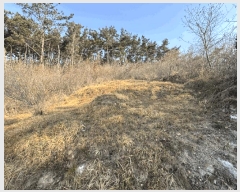  2025Ÿ��15572 �泲 ���ɽ� ��õ�� ��õ��� ��16-2      ����(�Ӿ�)���