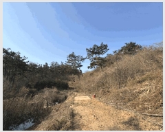  2025Ÿ��15572 �泲 ���ɽ� ��õ�� ��õ��� ��16-2      ����(�Ӿ�)���