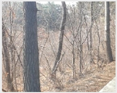  2025Ÿ��15572 �泲 ���ɽ� ��õ�� ��õ��� ��16-2      ����(�Ӿ�)���