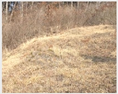  2025Ÿ��15572 �泲 ���ɽ� ��õ�� ��õ��� ��16-2      ����(�Ӿ�)���