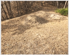  2025Ÿ��15576 �泲 ���걺 ����� ����� ��53-2      ����(�Ӿ�)���