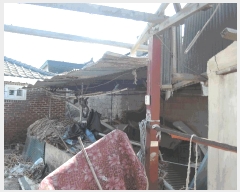  2025Ÿ��15613  ���ð��