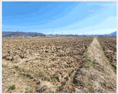  2025Ÿ15617 泲 걺 ø ø 392-8      ()