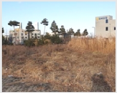  2025Ÿ��15629  �������