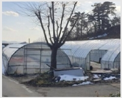  2025Ÿ��15629  �������