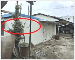  2025Ÿ15633 泲 õ  â 186-24      ()