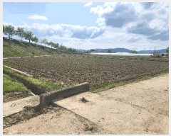  2025Ÿ��15650 �泲 ���걺 ���� �𱳸� 498-3      ����(��)���