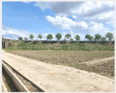  2025Ÿ��15650 �泲 ���걺 ���� �𱳸� 498-3      ����(��)���