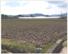  2025Ÿ��15650 �泲 ���걺 ���� �𱳸� 498-3      ����(��)���