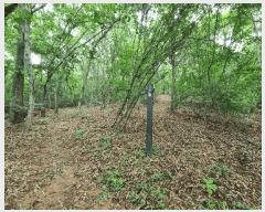  2025Ÿ��15690 �泲 ���걺 ���ø� ������ 349-3      ����(�Ӿ�)���