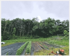  2025Ÿ��15690 �泲 ���걺 ���ø� ������ 349-3      ����(�Ӿ�)���