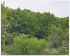  2025Ÿ��15690 �泲 ���걺 ���ø� ������ 349-3      ����(�Ӿ�)���