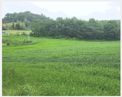  2025Ÿ��15714  �����