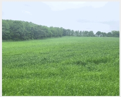  2025Ÿ��15714  �����