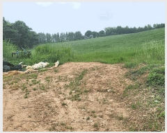  2025Ÿ��15714  �����